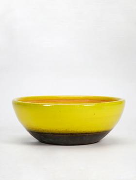 Y�48�18